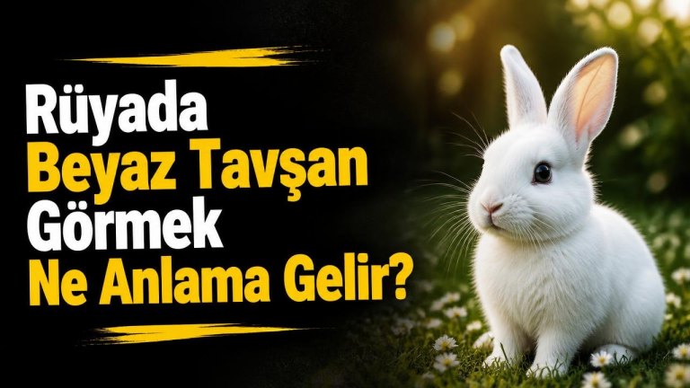 Rüyada Beyaz Tavşan Görmek Ne Anlama Gelir?