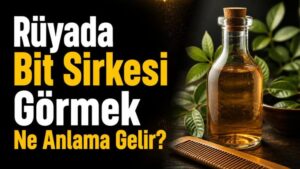 Rüyada Bit Sirkesi Görmek Ne Anlama Gelir?