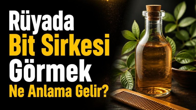 Rüyada Bit Sirkesi Görmek Ne Anlama Gelir?