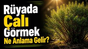 Rüyada Çalı Görmek Ne Anlama Gelir?
