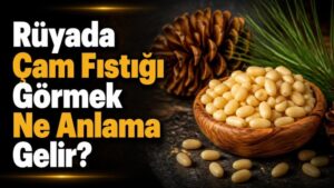 Rüyada Çam Fıstığı Görmek Ne Anlama Gelir?