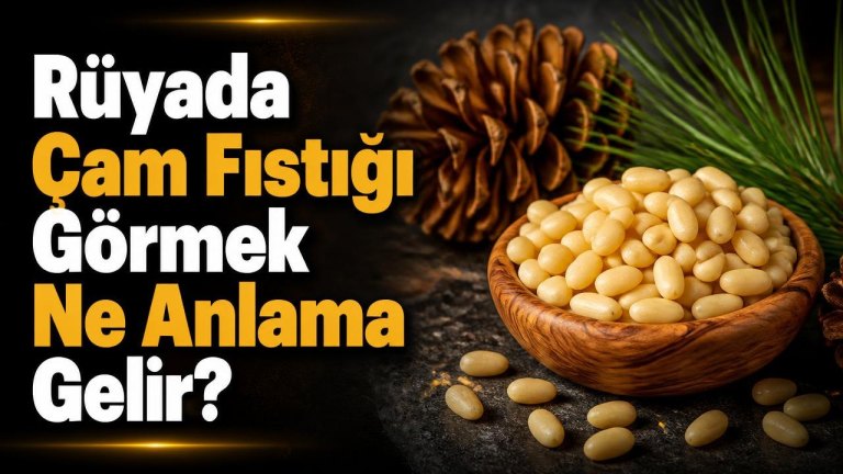 Rüyada Çam Fıstığı Görmek Ne Anlama Gelir?