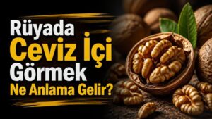 Rüyada Ceviz İçi Görmek Ne Anlama Gelir?