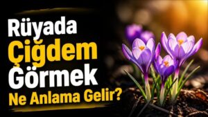 Rüyada Çiğdem Görmek Ne Anlama Gelir?