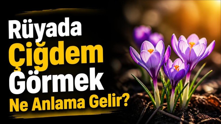Rüyada Çiğdem Görmek Ne Anlama Gelir?