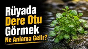 Rüyada Dere Otu Görmek Ne Anlama Gelir?