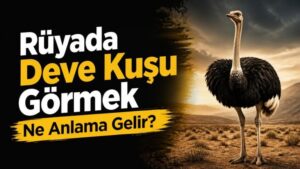 Rüyada Deve Kuşu Görmek Ne Anlama Gelir?