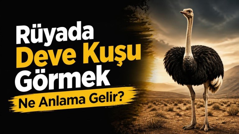 Rüyada Deve Kuşu Görmek Ne Anlama Gelir?
