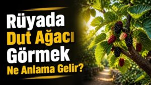 Rüyada Dut Ağacı Görmek Ne Anlama Gelir?