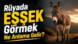 Rüyada Eşşek Görmek Ne Anlama Gelir?