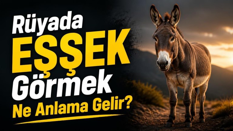 Rüyada Eşşek Görmek Ne Anlama Gelir?