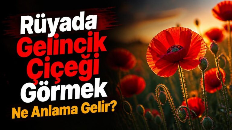 Rüyada Gelincik Çiçeği Görmek Ne Anlama Gelir?