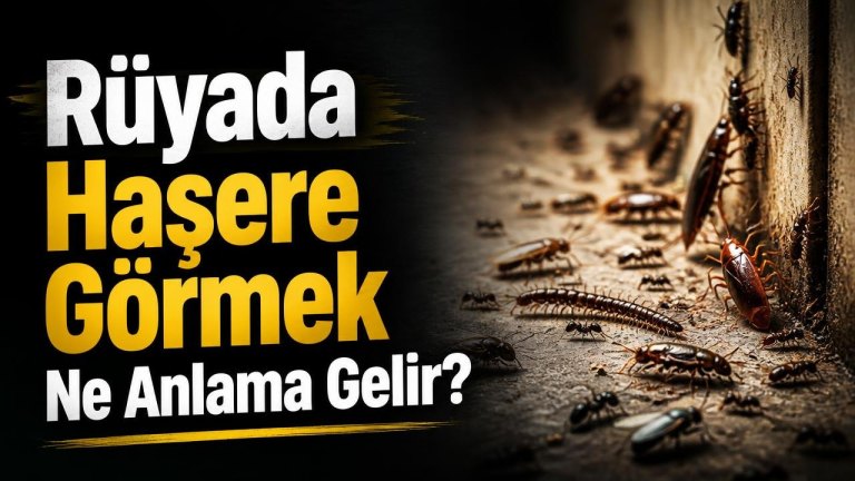 Rüyada Haşere Görmek Ne Anlama Gelir?