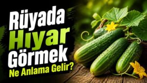Rüyada Hıyar Görmek Ne Anlama Gelir?