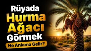 Rüyada Hurma Ağacı Görmek Ne Anlama Gelir?