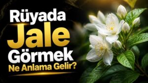 Rüyada Jale Görmek Ne Anlama Gelir?