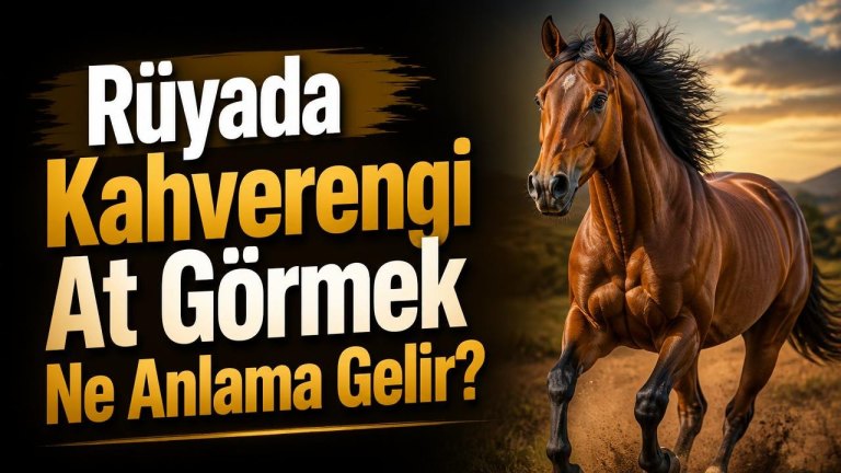 Rüyada Kahverengi At Görmek Ne Anlama Gelir?