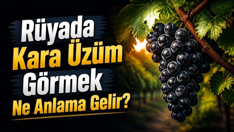 Rüyada Kara Üzüm Görmek Ne Anlama Gelir?