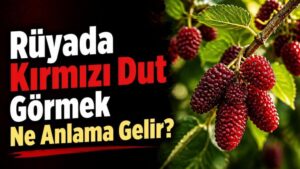 Rüyada Kırmızı Dut Görmek Ne Anlama Gelir?
