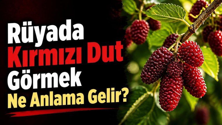 Rüyada Kırmızı Dut Görmek Ne Anlama Gelir?