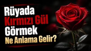Rüyada Kırmızı Gül Görmek Ne Anlama Gelir?