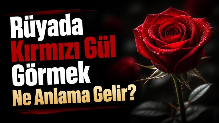 Rüyada Kırmızı Gül Görmek Ne Anlama Gelir?