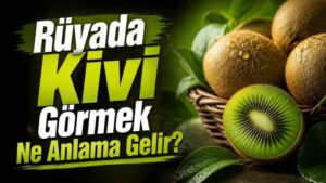 Rüyada Kivi Görmek Ne Anlama Gelir?