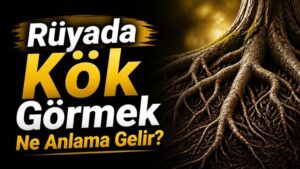 Rüyada Kök Görmek Ne Anlama Gelir?