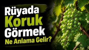 Rüyada Koruk Görmek Ne Anlama Gelir?