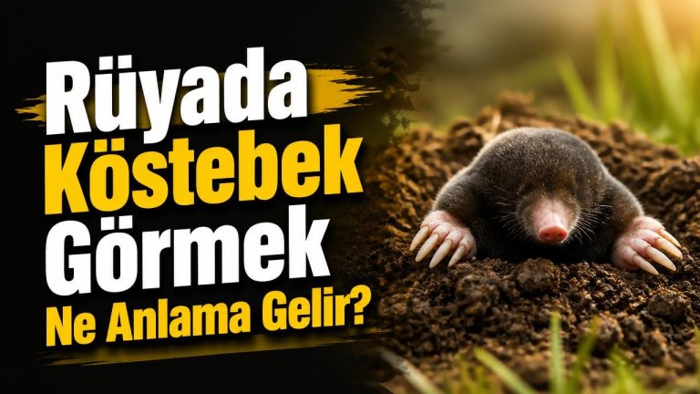 Rüyada Köstebek Görmek Ne Anlama Gelir?