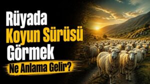Rüyada Koyun Sürüsü Görmek Ne Anlama Gelir?