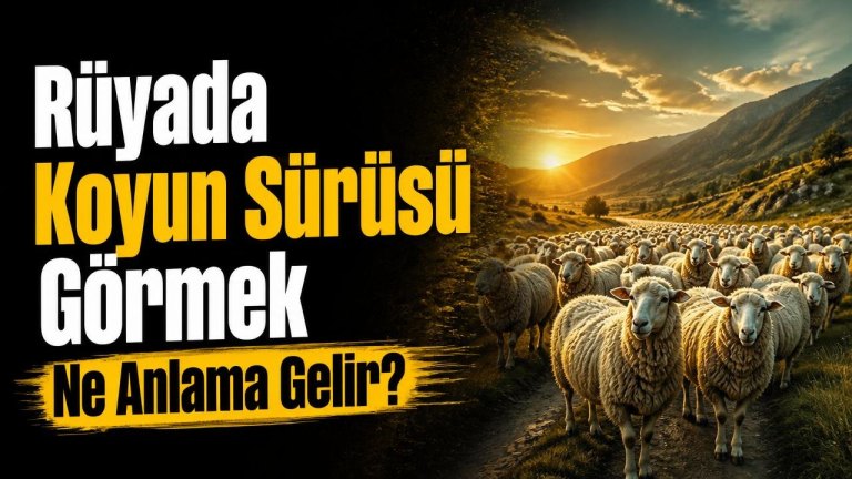 Rüyada Koyun Sürüsü Görmek Ne Anlama Gelir?