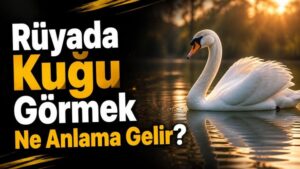 Rüyada Kuğu Görmek Ne Anlama Gelir?