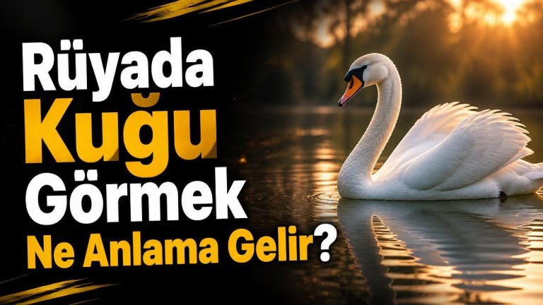 Rüyada Kuğu Görmek Ne Anlama Gelir?
