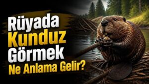 Rüyada Kunduz Görmek Ne Anlama Gelir?