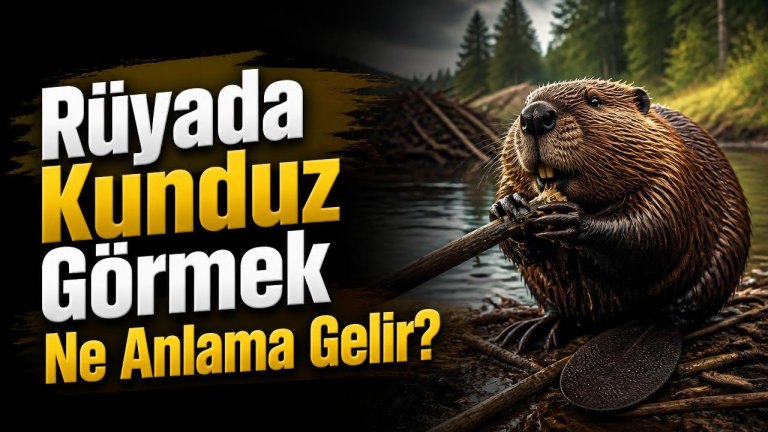 Rüyada Kunduz Görmek Ne Anlama Gelir?