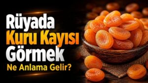 Rüyada Kuru Kayısı Görmek Ne Anlama Gelir?