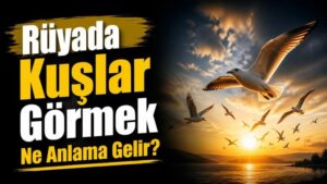 Rüyada Kuşlar Görmek Ne Anlama Gelir?
