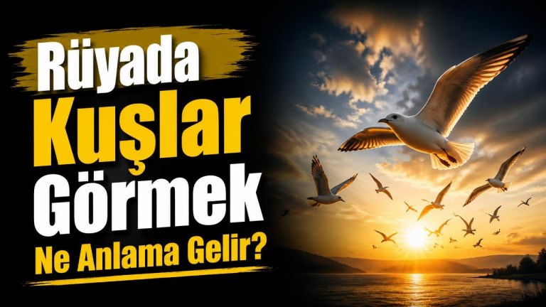 Rüyada Kuşlar Görmek Ne Anlama Gelir?
