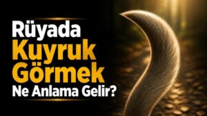 Rüyada Kuyruk Görmek Ne Anlama Gelir?