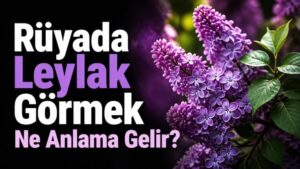 Rüyada Leylak Görmek Ne Anlama Gelir?