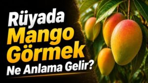 Rüyada Mango Görmek Ne Anlama Gelir?
