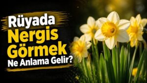 Rüyada Nergis Görmek Ne Anlama Gelir?