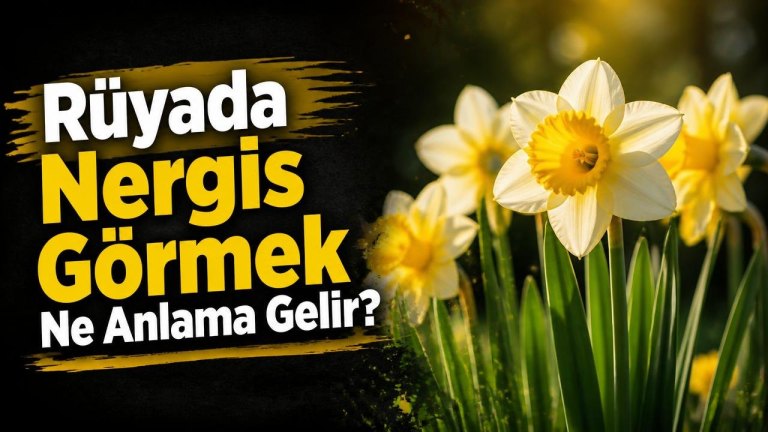 Rüyada Nergis Görmek Ne Anlama Gelir?