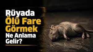 Rüyada Ölü Fare Görmek Ne Anlama Gelir?