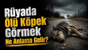 Rüyada Ölü Köpek Görmek Ne Anlama Gelir?