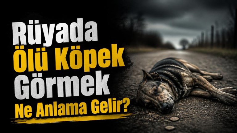 Rüyada Ölü Köpek Görmek Ne Anlama Gelir?