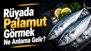 Rüyada Palamut Görmek Ne Anlama Gelir?
