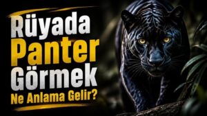 Rüyada Panter Görmek Ne Anlama Gelir?