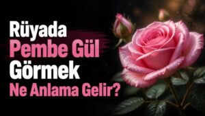 Rüyada Pembe Gül Görmek Ne Anlama Gelir?